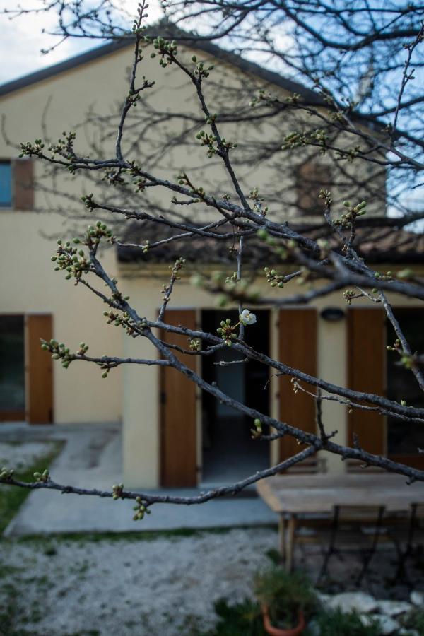 Agriturismo Conero Ancona Buitenkant foto